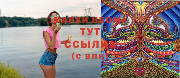 индика Аркадак