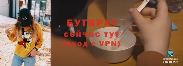 индика Аркадак