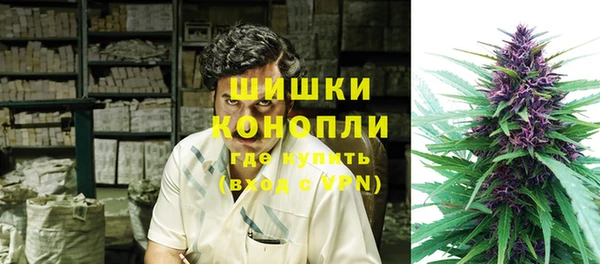 индика Аркадак