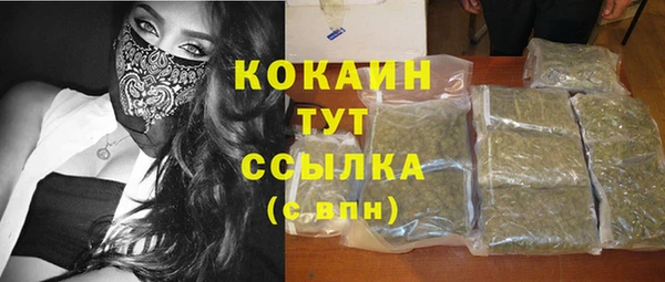 индика Аркадак