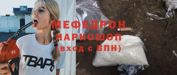 индика Аркадак