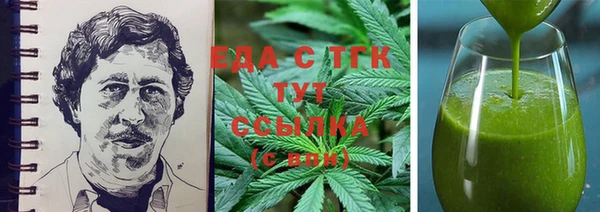 индика Аркадак